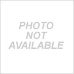 Kavo SMARTtorque LUX S619L High Speed Handpiece